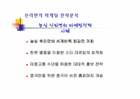 [국제경영]농심 신라면 중국진출 성공전략-15