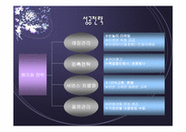[국제경영]신세계 이마트 상해점 경영전략 분석-12