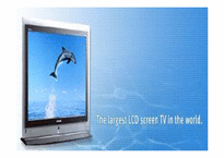 [마케팅]삼성전자 모니터 TFT-LCD 마케팅전략과 중국진출-1