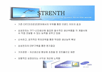 [마케팅]삼성전자 모니터 TFT-LCD 마케팅전략과 중국진출-9