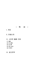 [경영]싸이월드 분석-9