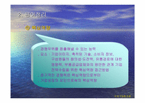 [경영전략]보성인터내셔널 실패사례분석-4