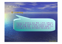 [경영전략]보성인터내셔널 실패사례분석-5
