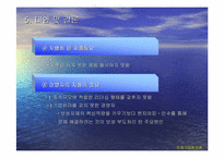 [경영전략]보성인터내셔널 실패사례분석-13