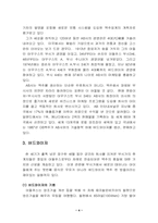 [국제마케팅]버드와이저 국제 마케팅전략-4