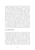 [국제마케팅]버드와이저 국제 마케팅전략-8