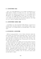[국제마케팅]버드와이저 국제 마케팅전략-18