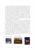 [국제마케팅]버드와이저 국제 마케팅전략-19