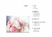 [마케팅관리]베스킨라빈스 마케팅계획 수립 전략-2