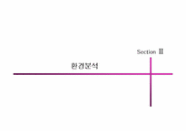 [마케팅관리]베스킨라빈스 마케팅계획 수립 전략-6