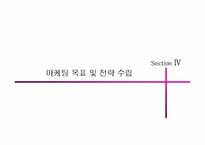 [마케팅관리]베스킨라빈스 마케팅계획 수립 전략-20