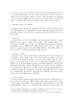 [패션마케팅]리바이스 엔지니어진이 미치는영향과 우리에게 주는 시사점-4