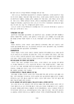 [경영전략]`디즈니사`의 일본디즈니 성공과 유로디즈니 실패 경영분석-5