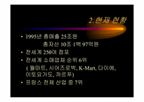 [국제마케팅]까르푸 국제경영전략 분석-5
