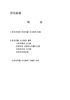 [인터넷 지불]전자 화페-1