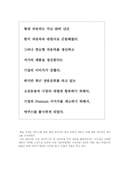 [마케팅사례]에쿠스를 통한 현대자동차의 성장 전략-11
