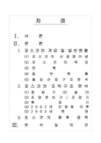 [조직행정] `POSCO`포스코의 조직분석-2