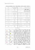 통신언어의 현주소와 나아갈 길-2