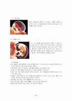 임신과 출산 레포트-4