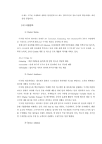 [국제마케팅] 삼성전자 LCD모니터의 중국진출 전략-3