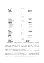 [사회문화]국내 NGO의 효과적인 재정관리를 위한 제언-12