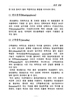 [레포트]원생생물에 관한 레포트..-2