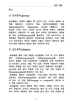 [레포트]원생생물에 관한 레포트..-3