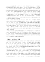 [문학] 르네상스에 대하여..-14