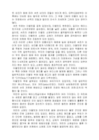 [의상학]르네상스시대의 패션-7