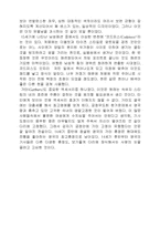 [의상학]르네상스시대의 패션-9