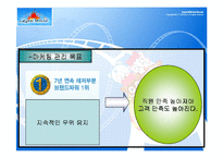 [마케팅원론] 롯데월드 경영분석-11