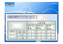 [마케팅원론] 롯데월드 경영분석-13