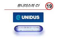유니더스 아프콜의 인터넷마케팅전략-7