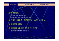 보육시설 어린이의 영양관리-3
