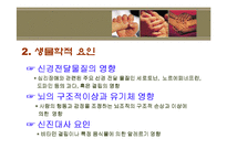 [정서장애아교육] 정서장애의 이해와 실제 -신체,생리학적 모델-7