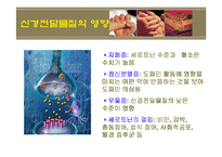 [정서장애아교육] 정서장애의 이해와 실제 -신체,생리학적 모델-11
