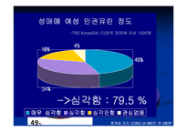 [사회학] 성매매 특별법에 관하여-3