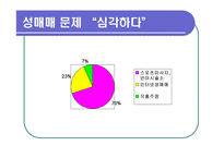 [사회학] 성매매 특별법에 관하여-17