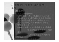 아랍사회와 명예살인-20