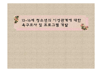 13~16세 청소년의 이성관계에 대한 욕구조사 및 프로그램 개발-1