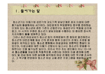 13~16세 청소년의 이성관계에 대한 욕구조사 및 프로그램 개발-3