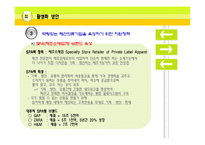 이시아폴리스의 타당성과 활성화 방안-13