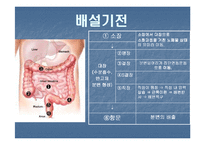 배변장애 및 장배설-2