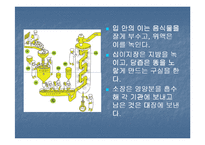 배변장애 및 장배설-3