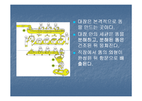 배변장애 및 장배설-4
