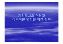 기업도시의 현황과 성공적인 발전을 위한 전략-1