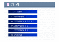 이베리아반도의 나라 포르투갈 분석-2