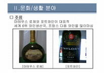 이베리아반도의 나라 포르투갈 분석-8