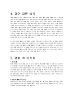 쉰들러리스트 영화분석-9