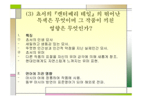영국사회와문학-14